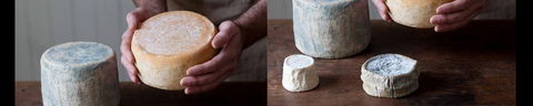Cheese Making Basics Class - Accommodation VIC 0