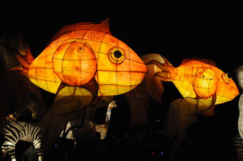 DREAM Festival: Music And Markets Event - Accommodation VIC 2