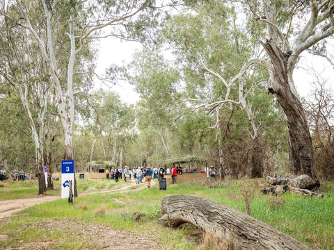 Grazing Down The Lachlan - Accommodation VIC 2