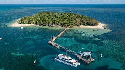 Great Adventures Green Island Ocean Swim - Accommodation VIC 0