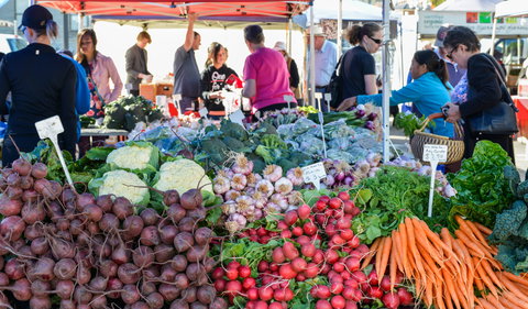 Harvest Launceston Community Farmers' Market - Accommodation VIC 2