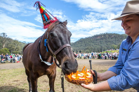 Horses Birthday Festival - Accommodation VIC 0