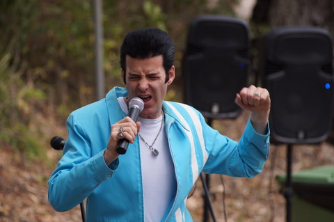 Karragarra Sea Market Festival - Accommodation VIC 2