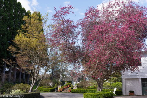 Leura Gardens Festival - Cancelled - Accommodation VIC 0