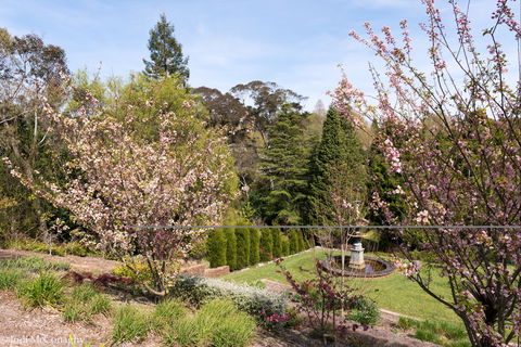 Leura Gardens Festival - Cancelled - Accommodation VIC 2