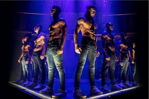 MAGIC MIKE LIVE - Accommodation VIC 0