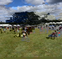 Majors Creek Festival - Accommodation VIC