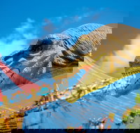 Mega Creatures at Hunter Valley Gardens - Postponed - Accommodation VIC