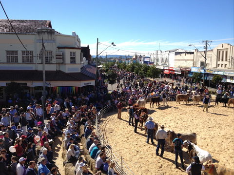NCMC Casino Beef Week - Accommodation VIC 0