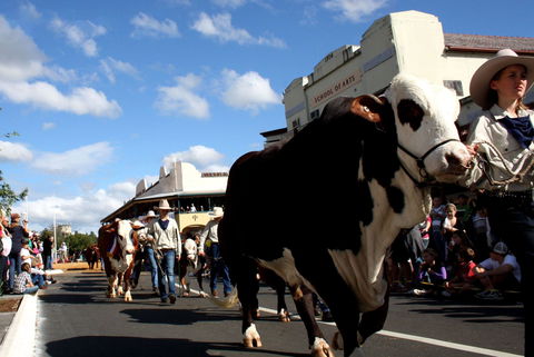 NCMC Casino Beef Week - Accommodation VIC 1