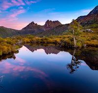 Pfeiffer Wines Photographic Exhibition - Wodonga Albury Camera Club - Accommodation VIC