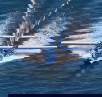 Rathmines Catalina Festival - Accommodation VIC