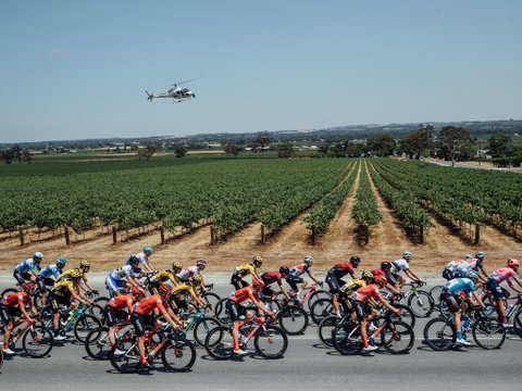 Santos Tour Down Under - Accommodation VIC 0