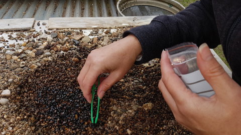 The Minerama Fossicking, Gem And Jewellery Show - Accommodation VIC 1