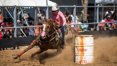 The Gulf Country Frontier Days Festival - Accommodation VIC 2
