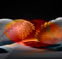 Tom Malone Prize - Accommodation VIC