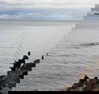 Whale Watching in Portland - Accommodation VIC