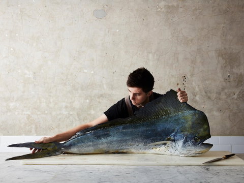 National Photographic Portrait Prize - Accommodation VIC 0