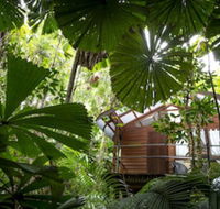 Daintree Wilderness Lodge - Accommodation VIC