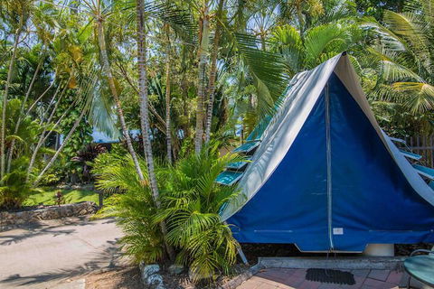 Tasman Holiday Parks - Airlie Beach - Accommodation VIC 5