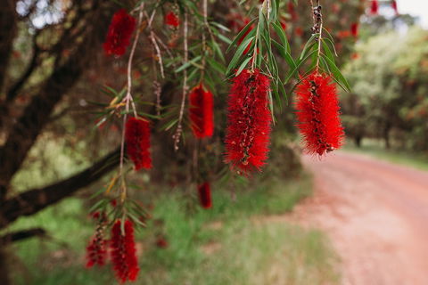 Margaret River Holiday Cottages - Accommodation VIC 2