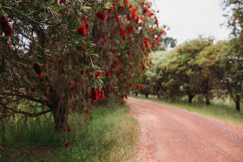 Margaret River Holiday Cottages - Accommodation VIC 1