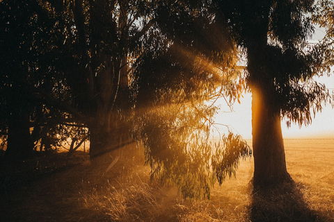 Margaret River Holiday Cottages - Accommodation VIC 0