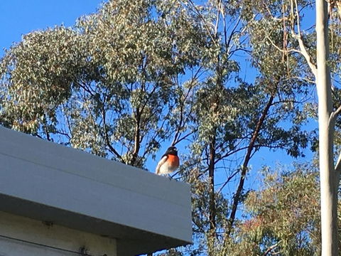 Applegate Lane Chalet - Accommodation VIC 1