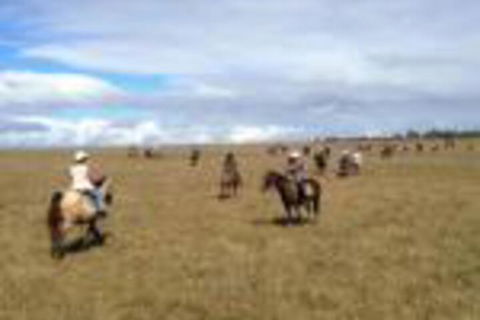 Susan River Homestead - Accommodation VIC 0