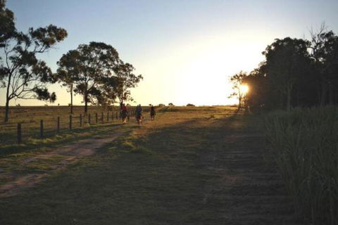 Susan River Homestead - Accommodation VIC 2