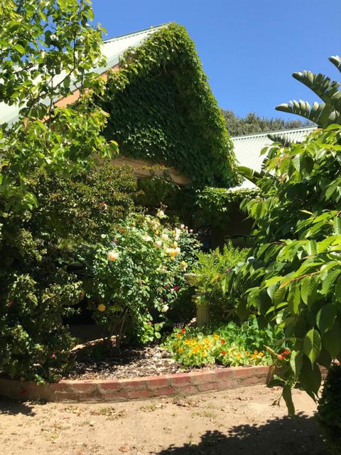 The Fingal Farm - Accommodation VIC 2