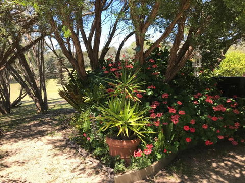 The Fingal Farm - Accommodation VIC 6