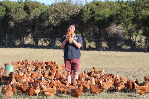 Bimbadeen Phillip Island Farm Retreats - Accommodation VIC 4