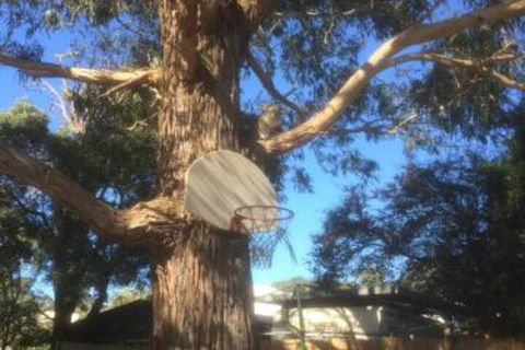 Inverloch Motel - Accommodation VIC 5