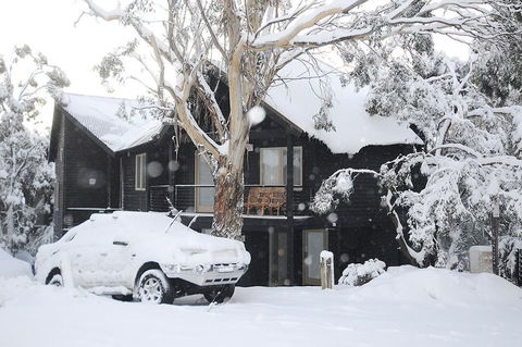 Milkwood - Accommodation VIC 1