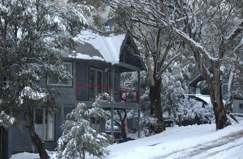 Milkwood - Accommodation VIC 3