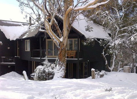 Milkwood - Accommodation VIC 4