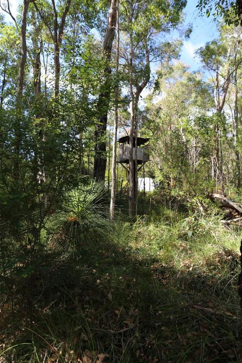 Nannup Bush Retreat - Accommodation VIC 2