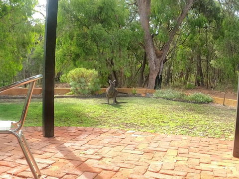 Yallingup Pet Friendly Bush Retreat - Accommodation VIC 5