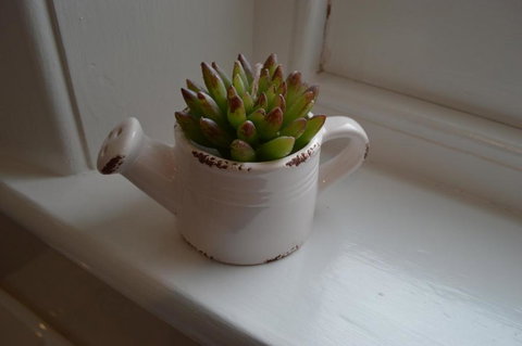 Two Cow Cottage Bed & Breakfast - Accommodation VIC 2