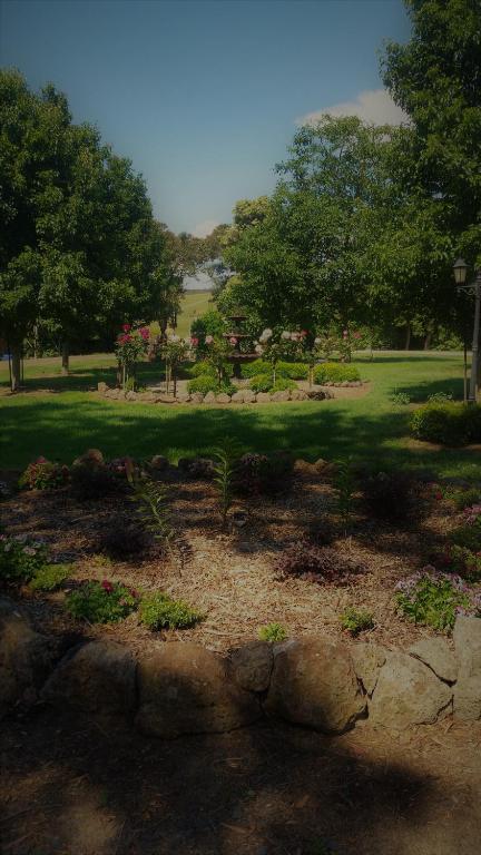 Manderley Park Farmstay B & B - Accommodation VIC 6
