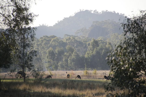 Dacelo - Accommodation VIC 0