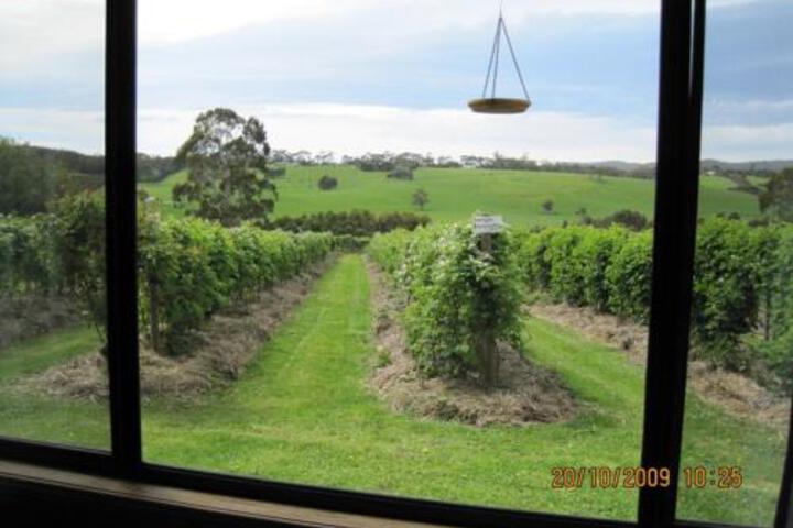 Whoorel ACT Accommodation VIC