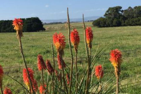 Yanakie Holiday House - Accommodation VIC 7