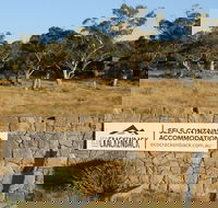 Ecocrackenback 16 'Sustainable chalet close to the slopes.' - Accommodation VIC