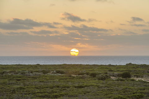 Kilifi Beach House Gnarabup - Accommodation VIC 2