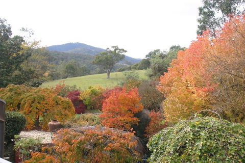 Riverhouse At Howqua Dale - Accommodation VIC 5
