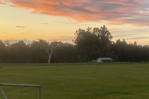 Manyat Peak Cottages - Accommodation VIC 1