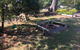 Blue Range Cottage - thumb 1
