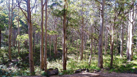 Margaret River Beach Apartments - Accommodation VIC 1